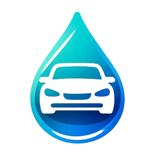 Lavage auto à domicile Plassay